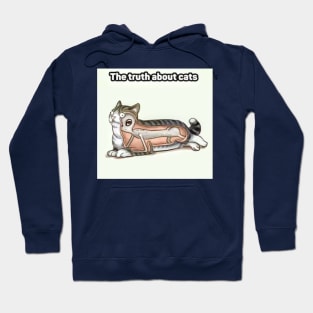 The Truth About Cats Hoodie